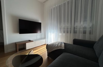Rent of a furnished 2-room apartment, 45 m², New Belgrade, Serbia